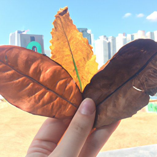 The Storytelling of Change of Seasons