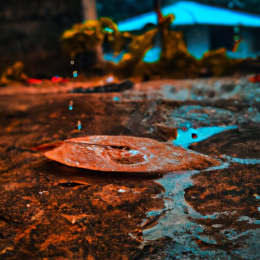 Various Styles of K Photography