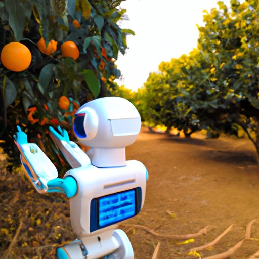 Exploring the Benefits of Using a Robot in an Orange Garden