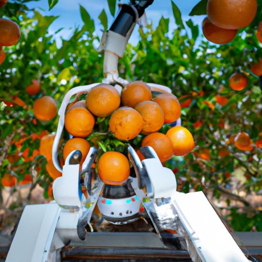 How Robotics are Revolutionizing Orange Harvesting