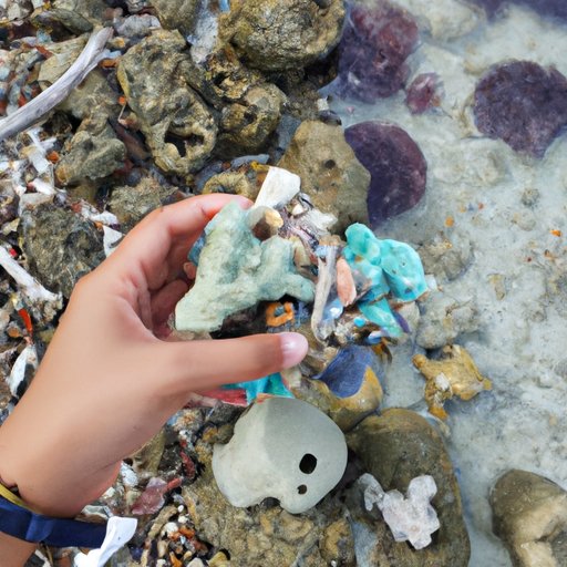 Uncovering the Hidden Treasures of Unicorn Island