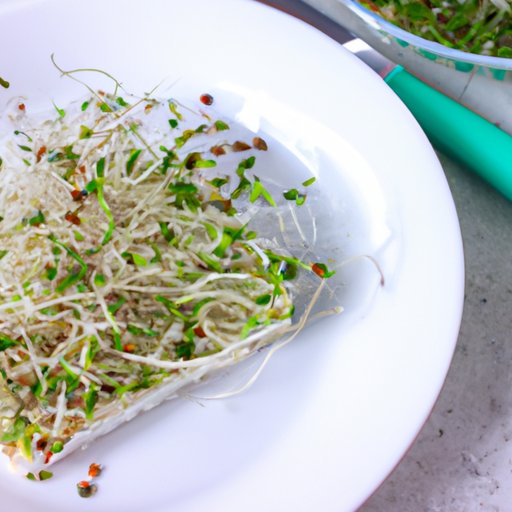 How to Incorporate Alfalfa Sprouts Into Your Meals