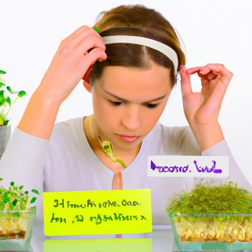 Evaluating the Pros and Cons of Eating Alfalfa Sprouts