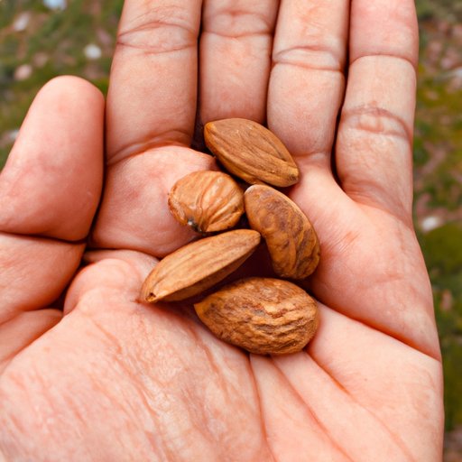 The Nutritional Profile of Almonds