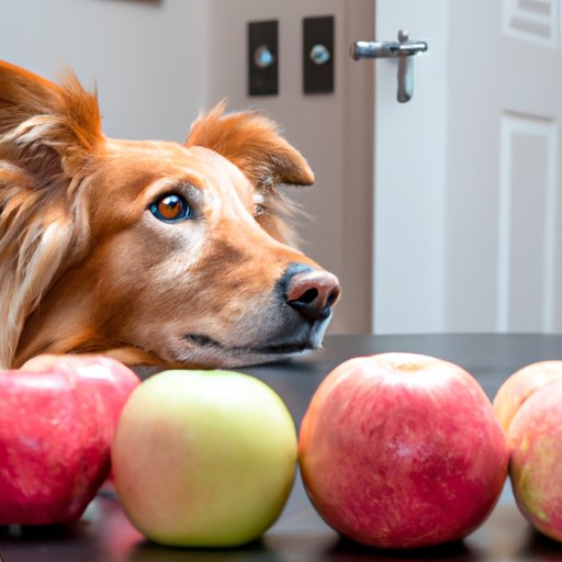 Exploring the Risks and Benefits of Feeding Apples to Dogs