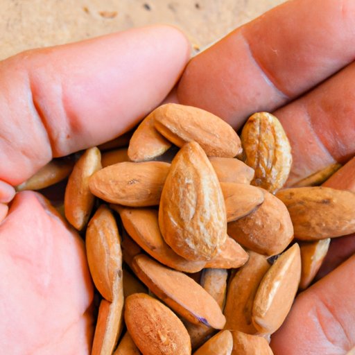 Exploring the Health Benefits of Blue Diamond Almonds