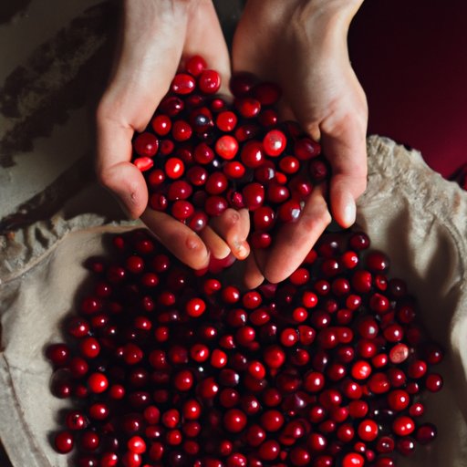 How Cranberries Can Boost Your Health