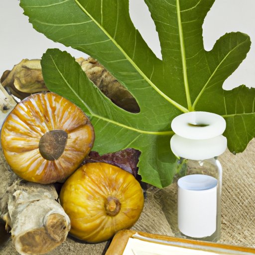 Exploring the Role of Figs in Traditional Medicine