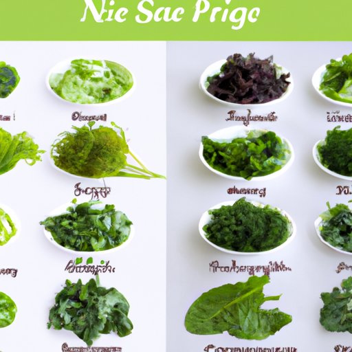 The Different Types of Greens and Their Nutritional Values
