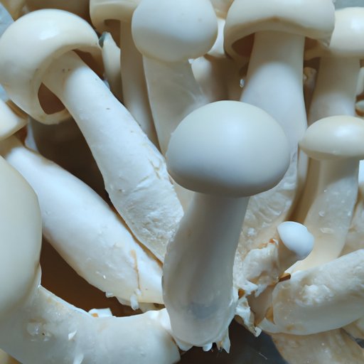 Overall Recommendations for Eating Mushrooms