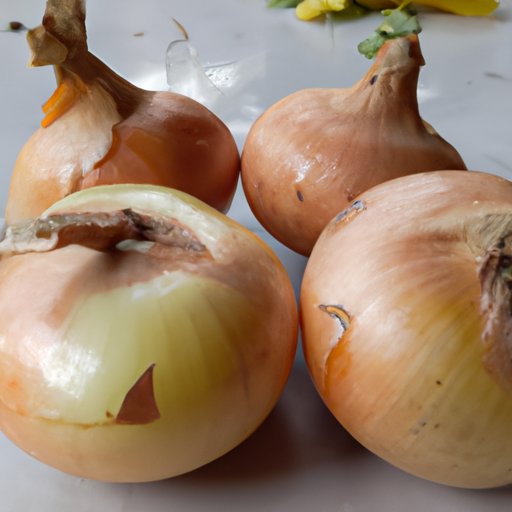 Exploring the Health Benefits of Onions