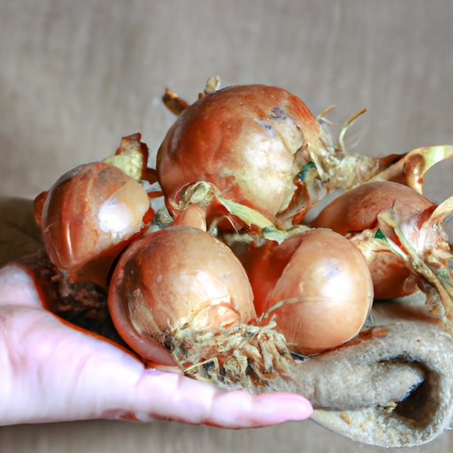 Studies Showing the Benefits of Onions