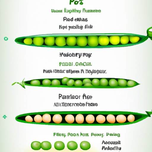 A Guide to Different Types of Peas