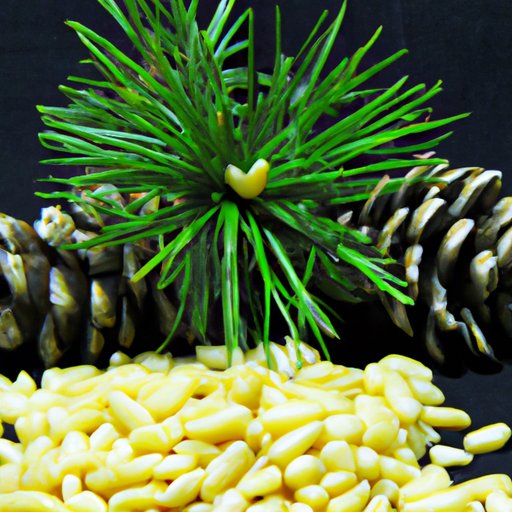 How to Use Pine Nuts in Creative Recipes for Better Health