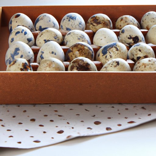 Common Questions About Quail Eggs