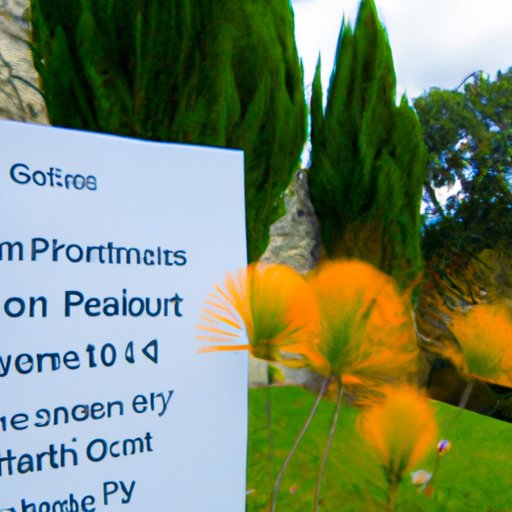 Potential Pitfalls to Be Aware of When Applying for a Grant