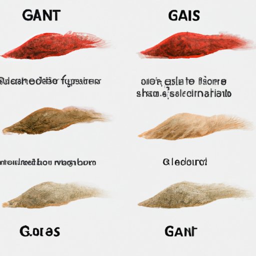 Comparison of Different Types of Grants