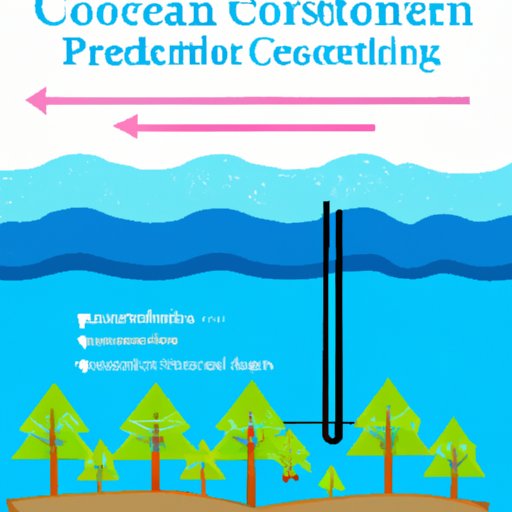 Enhancing Carbon Sequestration in Forests and Oceans