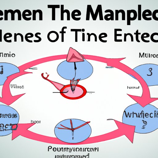 Exploring Medical Advice About Timing Conception Around the Menstrual Cycle