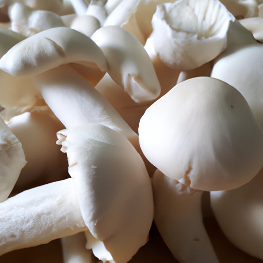 Benefits of Not Washing Mushrooms