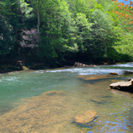 Exploring the Benefits of Living in Tennessee