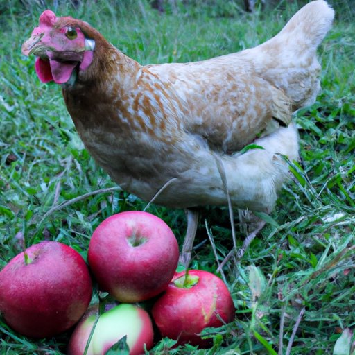 The Health Benefits of Apples for Chickens