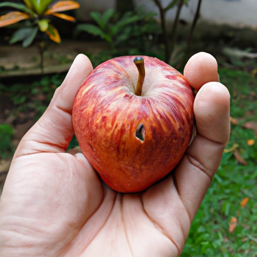 Tips for Feeding Apples to Your Chickens