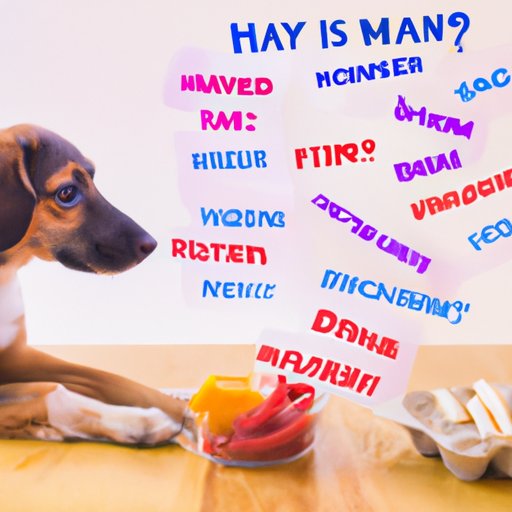 What to Look for When Buying Raw Food for Dogs