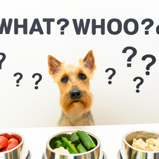 Common Questions About Feeding Dogs Raw Food