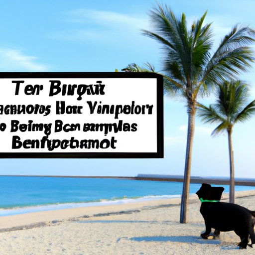 Tips for Taking a Vacation While on Unemployment Benefits