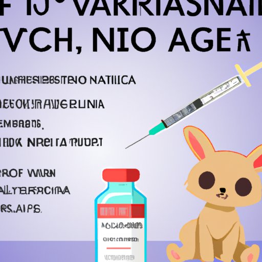 What You Need to Know Before Travelling to Japan After Vaccination