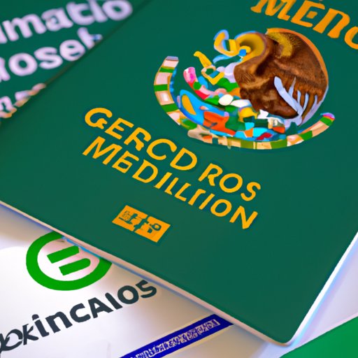 Navigating Customs and Immigration When Traveling to Mexico with a Green Card