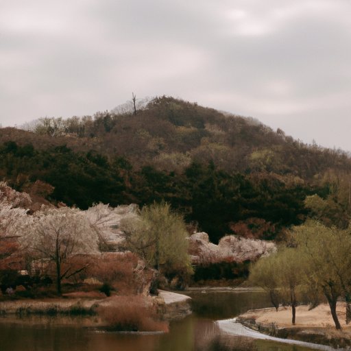 Visiting South Korea During Different Seasons