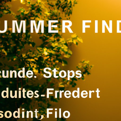 How to Navigate the Financial Aid System to Fund Summer Classes