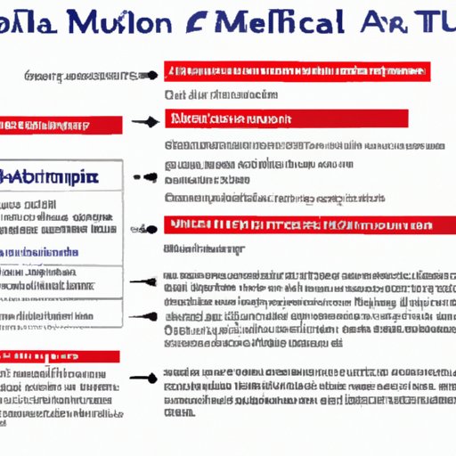 An Exploration of Current Travel Advisories for Malaysian Visitors to the United States