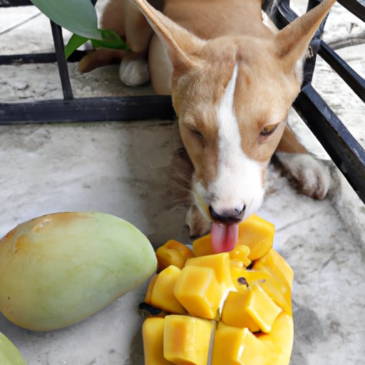 How to Tell If Your Rabbit Likes Mangoes