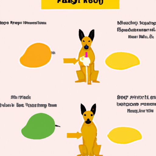 A Guide to Feeding Mangos to Rabbits