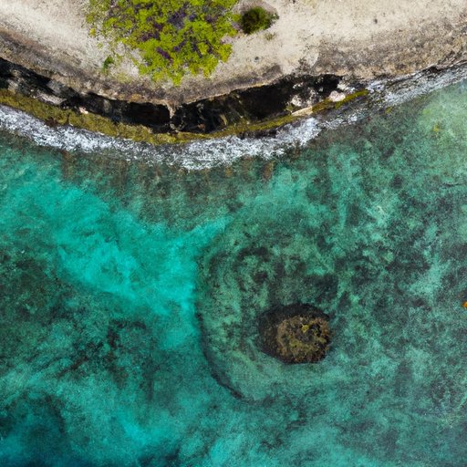 Exploring the Beauty of the Cayman Islands: What to See and Do