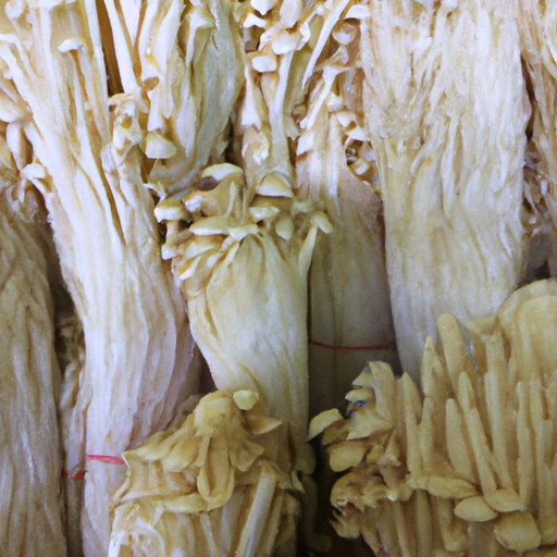 What You Need to Know Before Eating Mushroom Stems