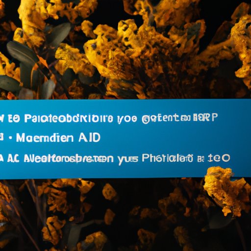 Common Questions and Answers About Having Both Medicaid and Medicare