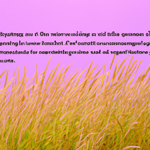 What Supervised Probationers Should Consider Before Planning a Vacation