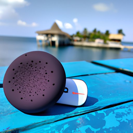 The Benefits of Bringing Your Echo Dot on Vacation