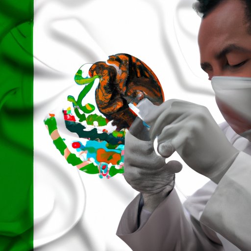 Investigating the Safety Measures Implemented by Mexico to Combat Disease Outbreaks