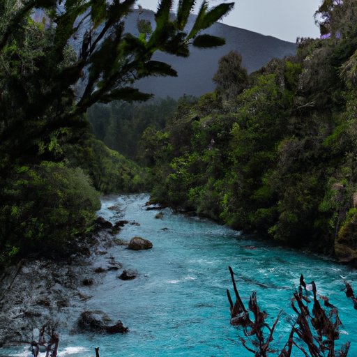 Exploring the Natural Wonders of New Zealand