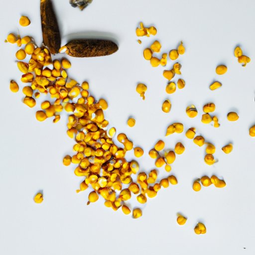 Comparison of Different Types of Cons