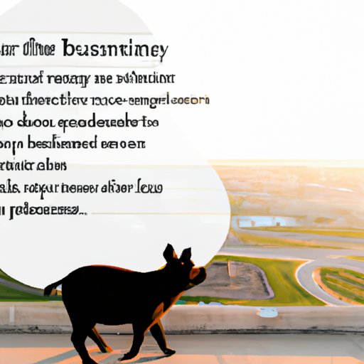 The Benefits of Working with De La Rosa Travel