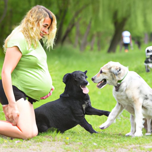 Training Tips for Dealing With Clingy Dogs During Pregnancy
