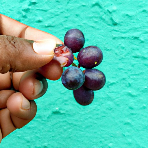 Health Benefits of Eating Grapes