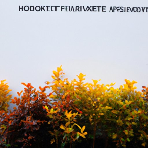 Potential Return on Investment for Hedge Funds Investing in Startups