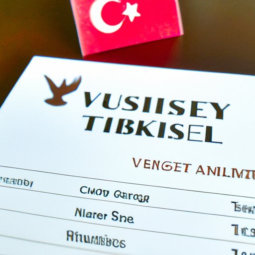 A Quick Guide to Visas for Turkey